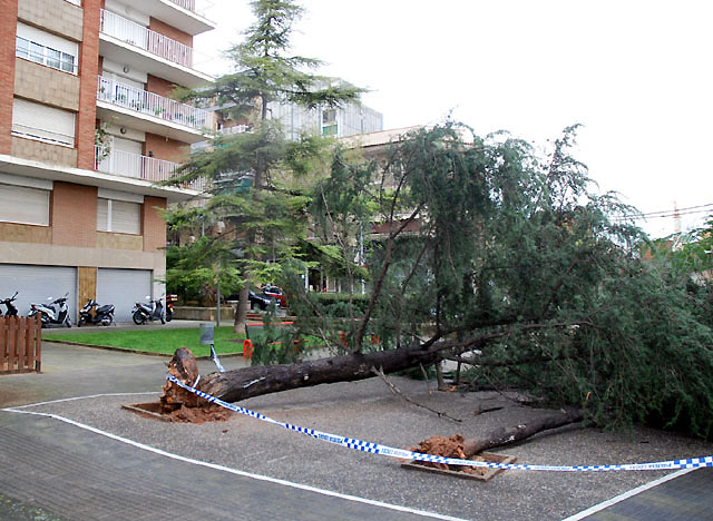 Cerdanyola es troba en situació d'alerta pel vent