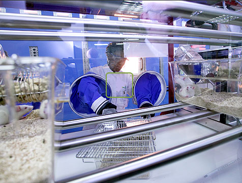 La UAB i els seus exalumnes aposten per la recerca dels joves investigadors