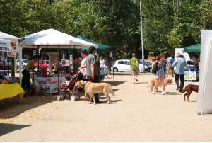 Mercat solidari dels Amics dels animals