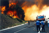 Els incendis forestals baixen al conjunt de Barcelona