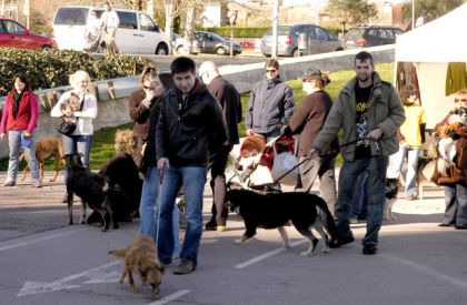 L'ADAC organitza un mercat solidari per recaptar fons