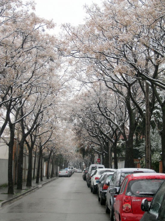 L'operatiu de crisi continua activat a la ciutat per si empitjora el temps