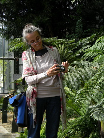 Els nivells de pol·len per a aquesta primavera dependran molt de les pluges anunciades per als propers dies