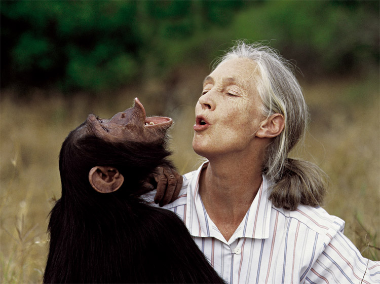 La primatòloga Jane Goodall visita la UAB