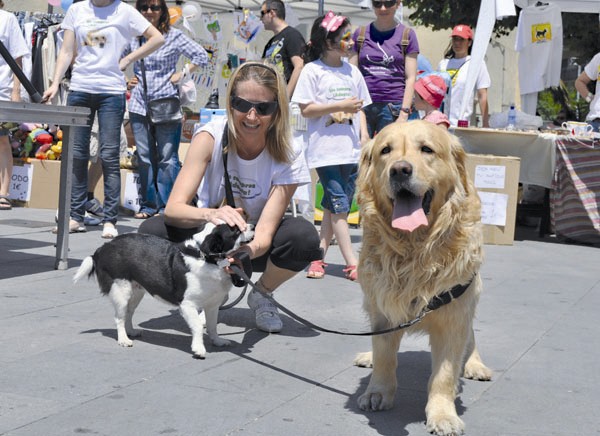 Recordar i respectar els drets dels animals