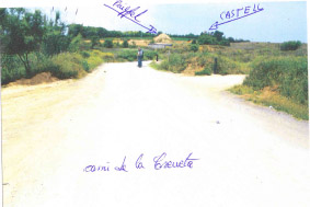 Un membre de la comissió del nomenclàtor demana l'obertura d'un camí