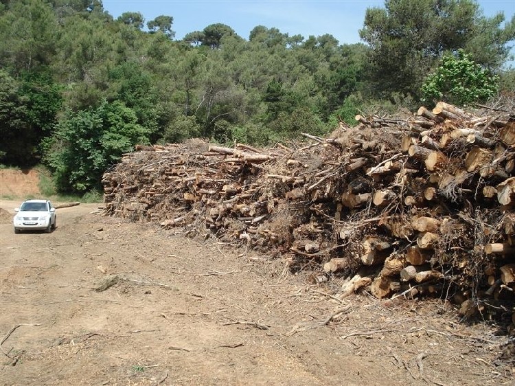 L'Ajuntament fa una crida a no relaxar la guàrdia pel risc de foc forestal