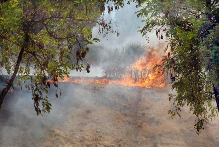 Mesures especials per prevenir incendis davant les altes temperatures