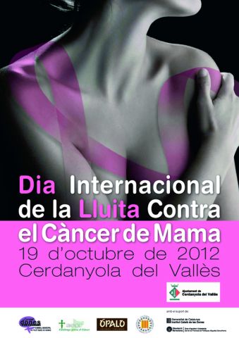 L'Ajuntament s'il·luminarà de color rosa el Dia Internacional del Càncer de Mama