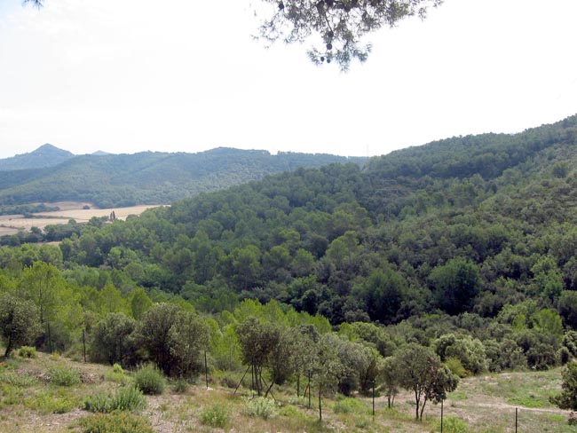 S'inicia la redacció del Pla especial del Parc de Collserola