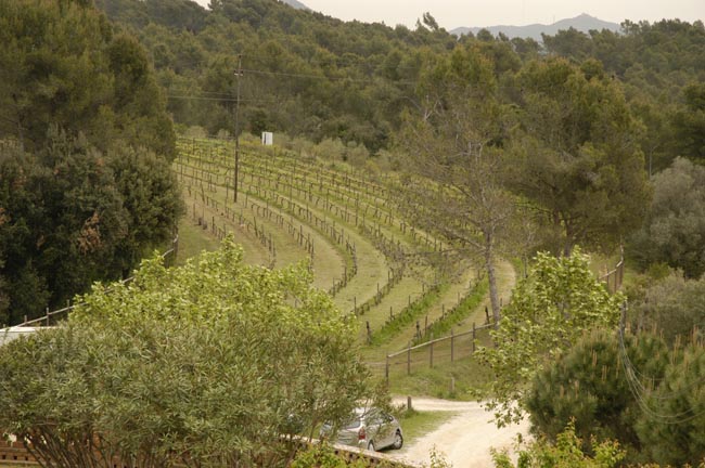 Can Coll, gran protagonista a l'agenda d'hivern del Parc Natural de Collserola