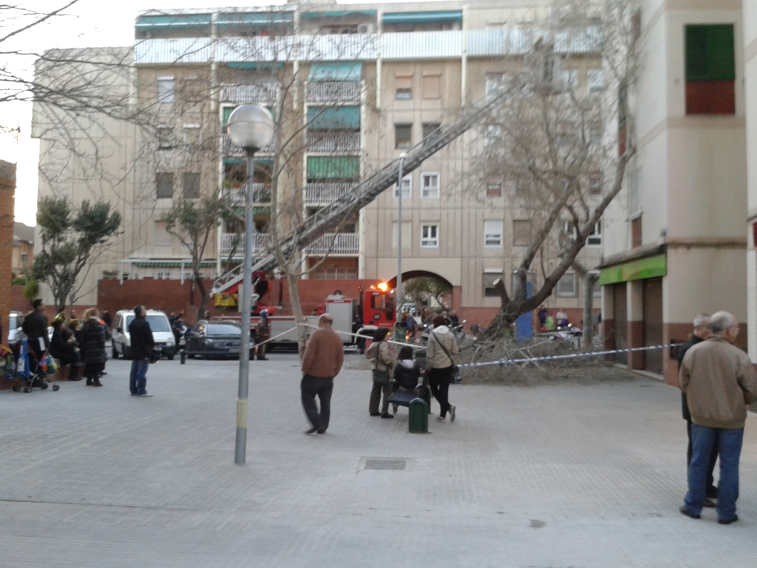 La caiguda d'un arbre de grans dimensions obliga a tallar el carrer de Diagonal