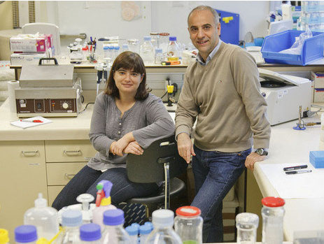 Avanç investigador de la UAB en telefonia mòbil, el VIH i els camps magnètics