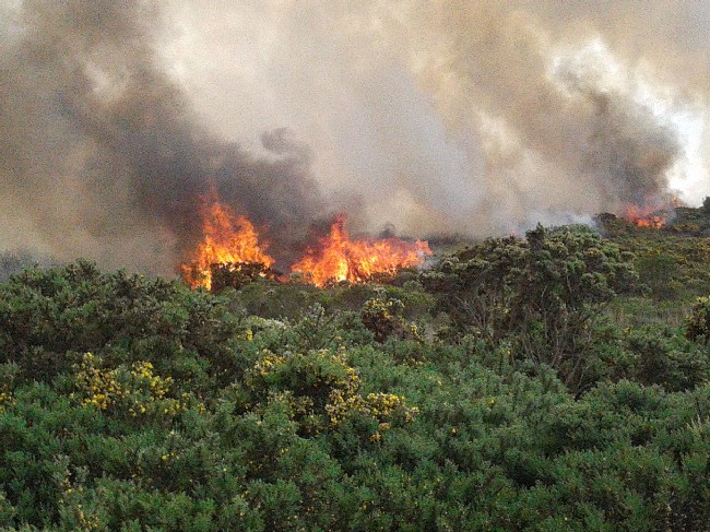 El Consell Comarcal renova el conveni antiincendis amb les Agrupacions de Defensa Forestal