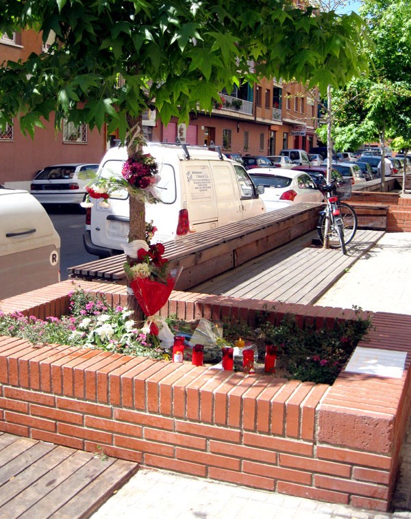 La Junta de Portaveus, unànime sobre la seguretat a la ciutat