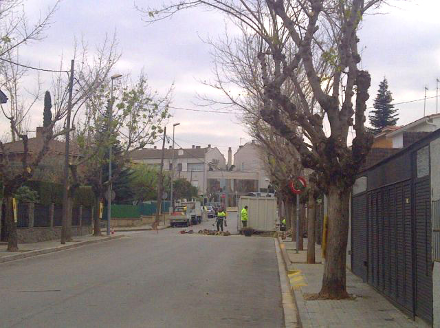 En marxa la campanya d’esporga 2013