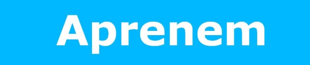 Es presenten a Cerdanyola els tallers Aprenem
