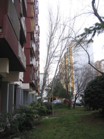 Retirada d'Àlbers al carrer de Sant Casimir