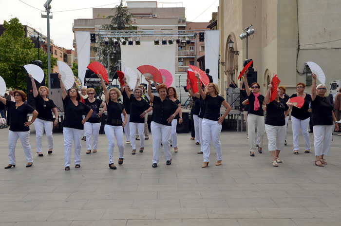 Gent gran activa; gent gran participativa