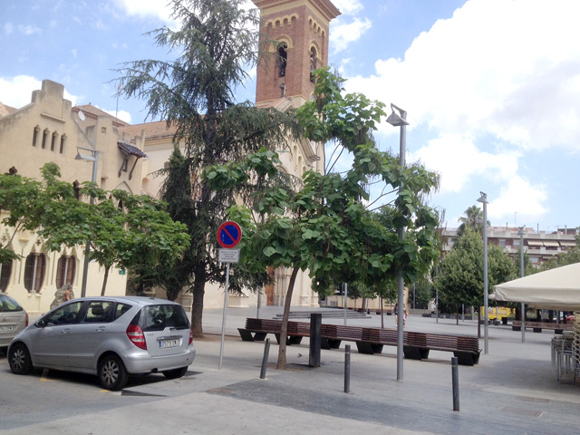 Tractament fitosanitari a l'arbrat per acabar amb una plaga resistent