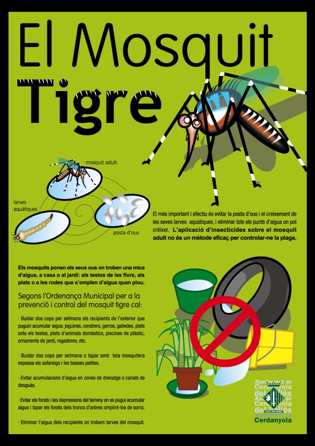 Evitar punts d'aigua estancada és la principal mesura per aturar la proliferació del mosquit tigre
