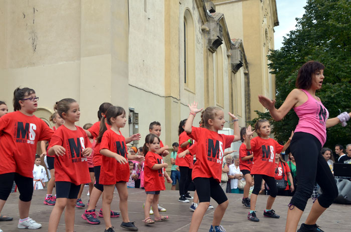 Tothom som la ciutat, lema  de la discapacitat a Sant Martí 2014