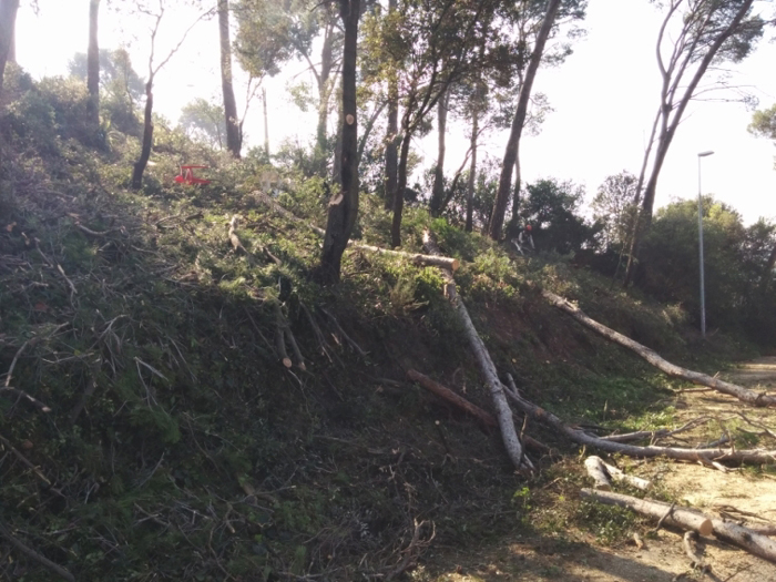 Comencen els treballs forestals de prevenció d'incendis a Montflorit 