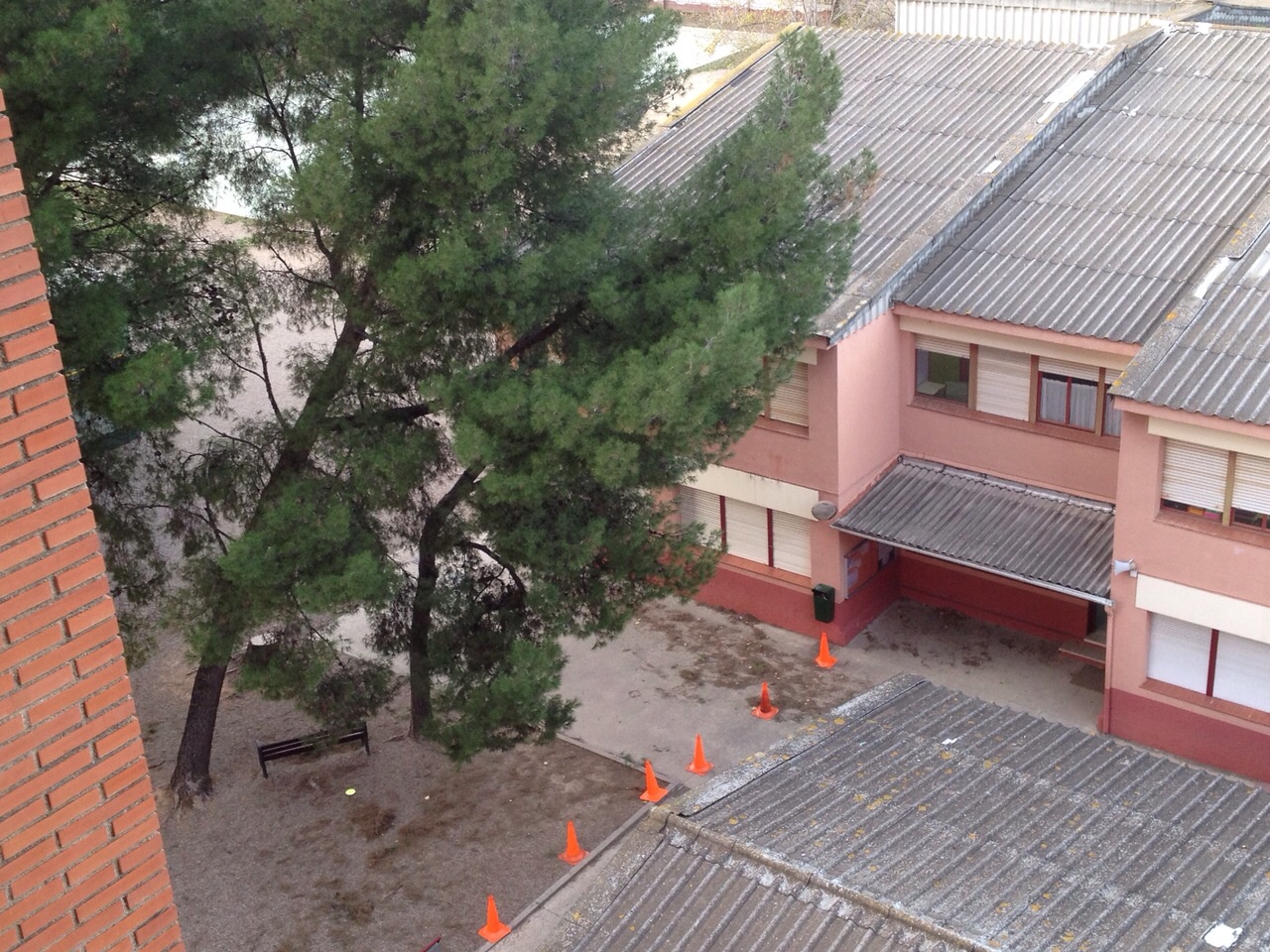 La forta ventada d'ahir nit provoca la caiguda d'arbres per no hi ha cap dany important