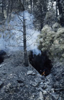 Temporada amb pocs incendis a la comarca