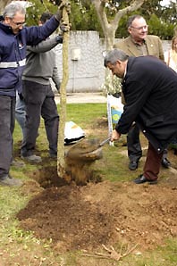 L'Associació Amics dels Arbres redescobrirà diumenge els jardins d'El Pedregar
