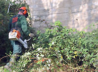Desbrossament a Can Cerdà per evitar riscos d'incendi forestal