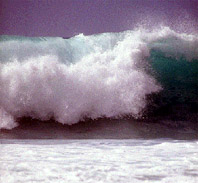 El Rovell de l'Ou lliura 1.667 euros per combatre els efectes del tsunami