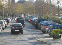 Els plataners del passeig del Pont es trasplantaran al Parc de la Riera
