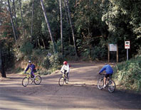 El Consorci del Parc de Collserola edita una guia per gaudir de la serra en bicicleta