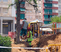 Els arbres de la plaça de la Constitució es trasplanten al Parc de la Riera