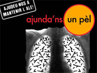 La Marató de Perruqueria solidària amb els afectats per l'amiant serà divendres
