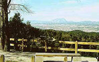 Collserola ha patit 47 incendis durant aquest 2005