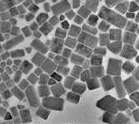 La UAB acollirà el Centre d'Investigació de Nanotecnologia