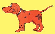 Creu Roja reprèn la campanya d'estiu contra l'abandonament d'animals domèstics