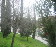 Els alts nivells de pol.len poden provocar una primavera d'al.lèrgies intenses