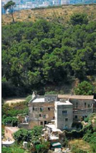 Els okupes de Can Madséu treballen en el manteniment del bosc