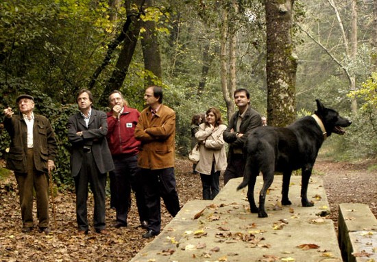 El Bosc Gran de Can Catà s'obrirà a la ciutadania el proper 17 de desembre
