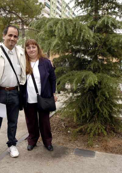 Un cedre per recordar i homenatjar els nens que pateixen càncer