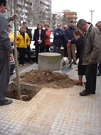 Plantada d'acàcies per a celebrar el Dia de l'Arbre