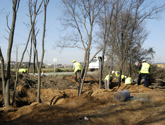 L'Ajuntament realitza mesures correctores per minimitzar l'impacte en els arbres amb el desdoblament de la carretera de Sant Cugat