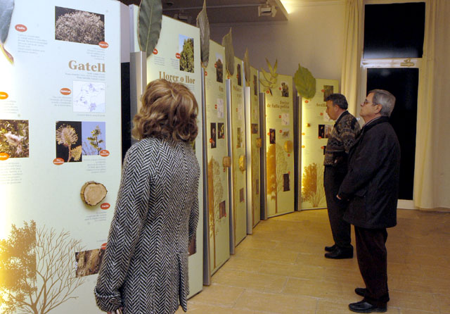 Una exposició explica a l'Espai Granados la riquesa i els riscos dels boscos de ribera com el de la riera de Sant Cugat