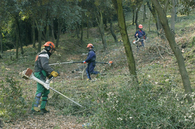 Inici dels treballs de manteniment de la franja de prevenció d’incendis forestals a Montflorit