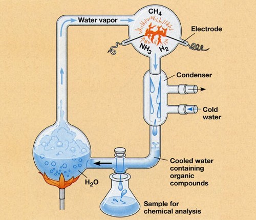 L'experiment de Miller-Urey s’instal·la a l’Autònoma
