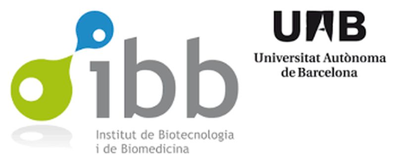 Investigadors de la UAB treballaran en el desenvolupament d'una eina per mesurar amb rapidesa biomarcadors de gravetat de la febre en la infància