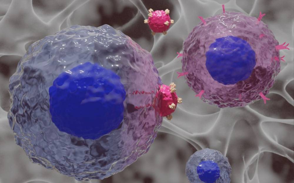 Investigadors de l’ICMAB desenvolupen materials biomimètics per millorar la immunoteràpia contra el càncer